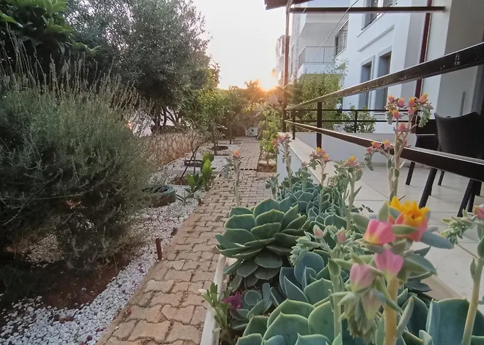 Olive 1 Apartment *